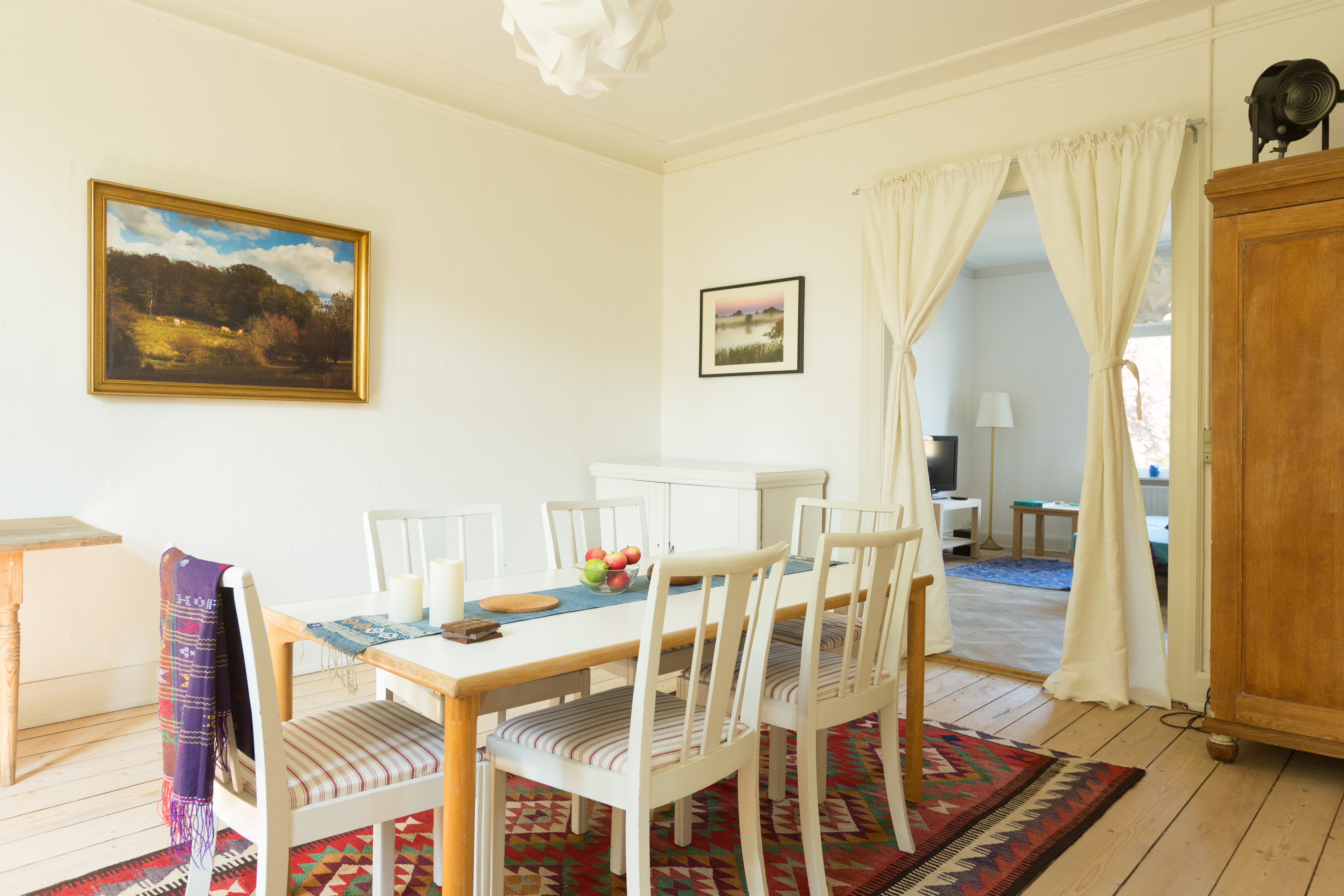 Large cozy apartment